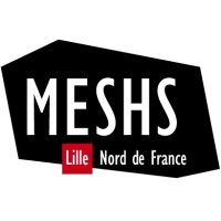 Maison Européenne des Sciences de l’Homme et de la Société de Lille (MESHS)