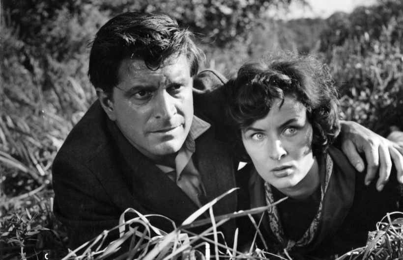 Stun Film, Will Tremper Filmproduktion - moviemax GmbH