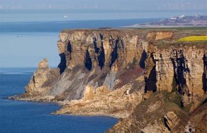 Creative Commons Attribution-Share Alike 4.0