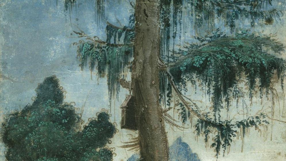 Albrecht Altdorfer - Landschaft mit Fichte (détail), vers 1522