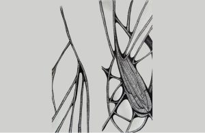 Le Laboratoire du temps qui passe