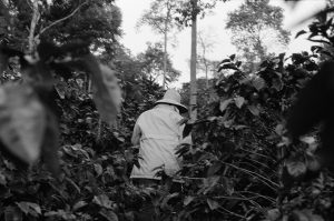 Juliette Nina Valentin