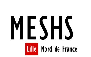 Maison Européenne des Sciences de l’Homme et de la Société de Lille (MESHS)